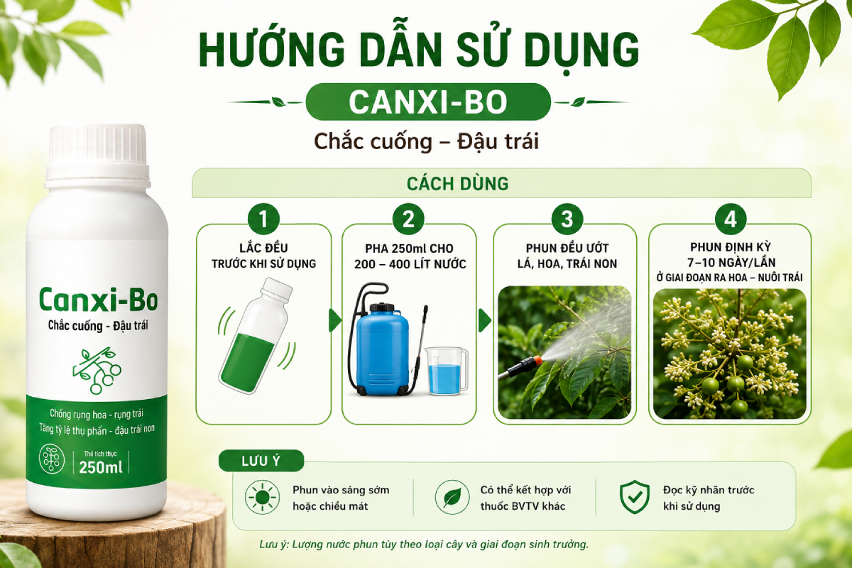 Cách sử dụng đúng cách chế phẩm sinh học Canxi Bo