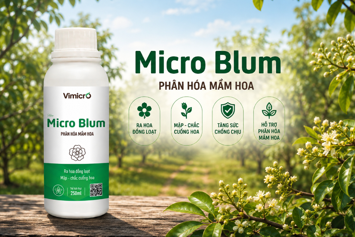 Phân hoá mầm hoa cho cây trồng Micro Blum