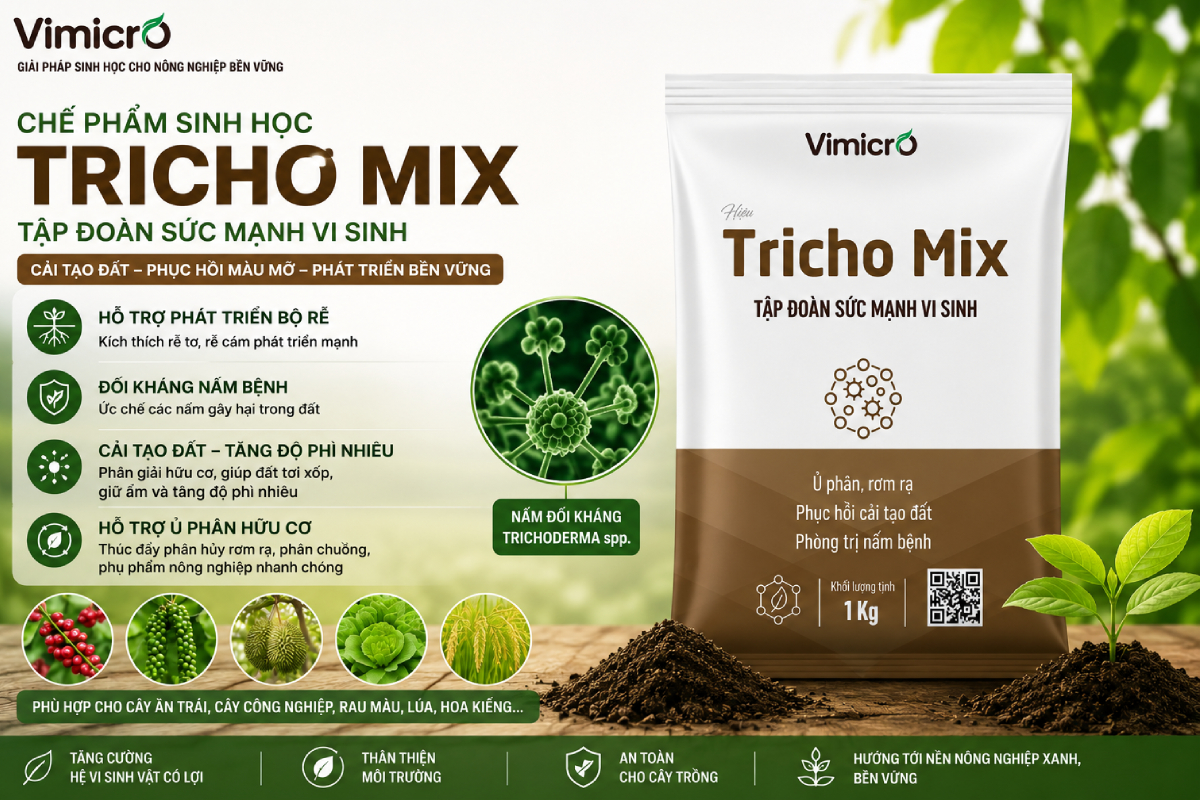 Tác dụng của chế phẩm Trichoderma Mix
