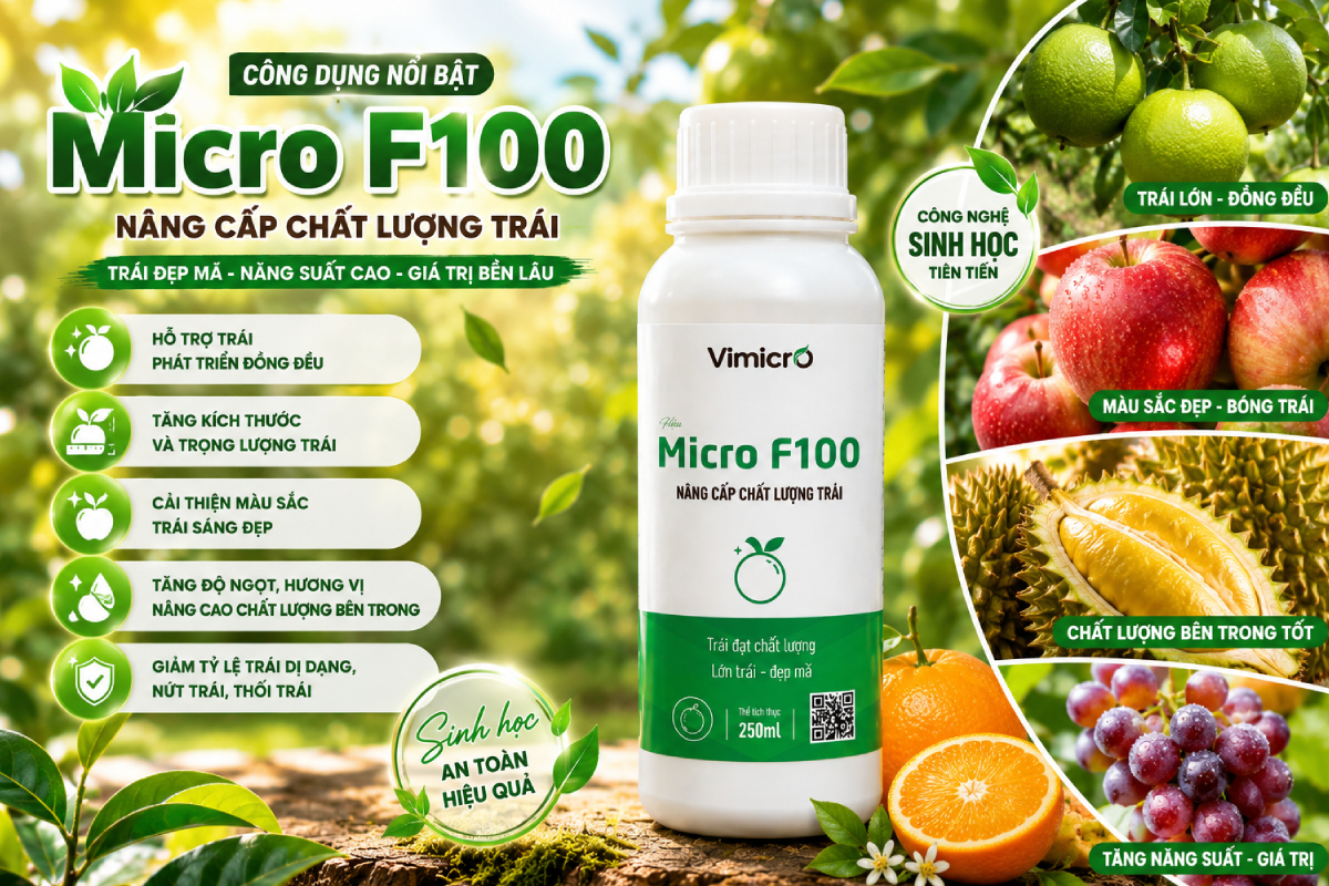 Công dụng của Micro F100 trong nâng cấp chất lượng trái