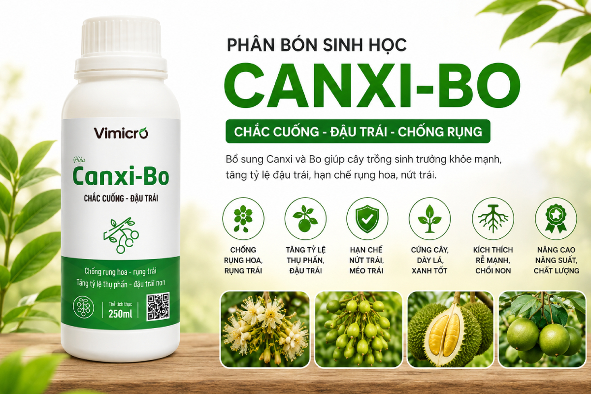 Công dụng của chế phẩm sinh học Canxi Bo trong nông nghiệp