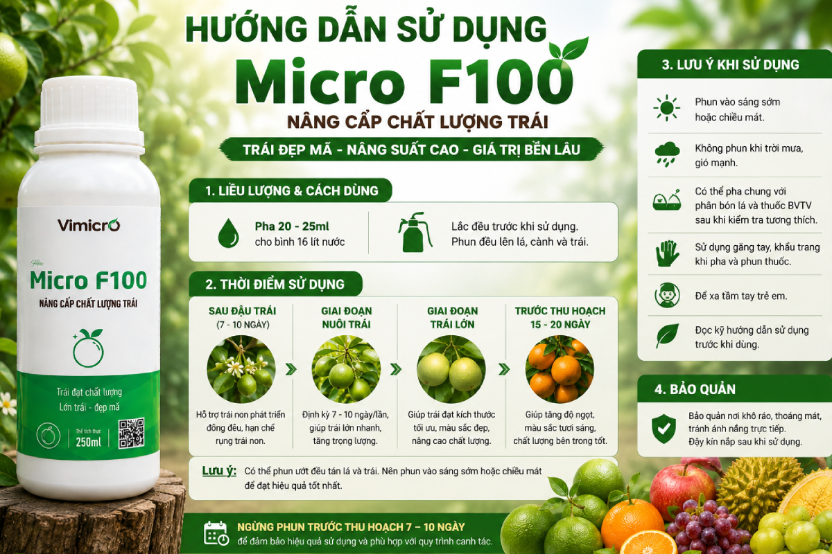 Hướng dẫn sử dụng thuốc sinh học nâng cao chất lượng trái Micro F100