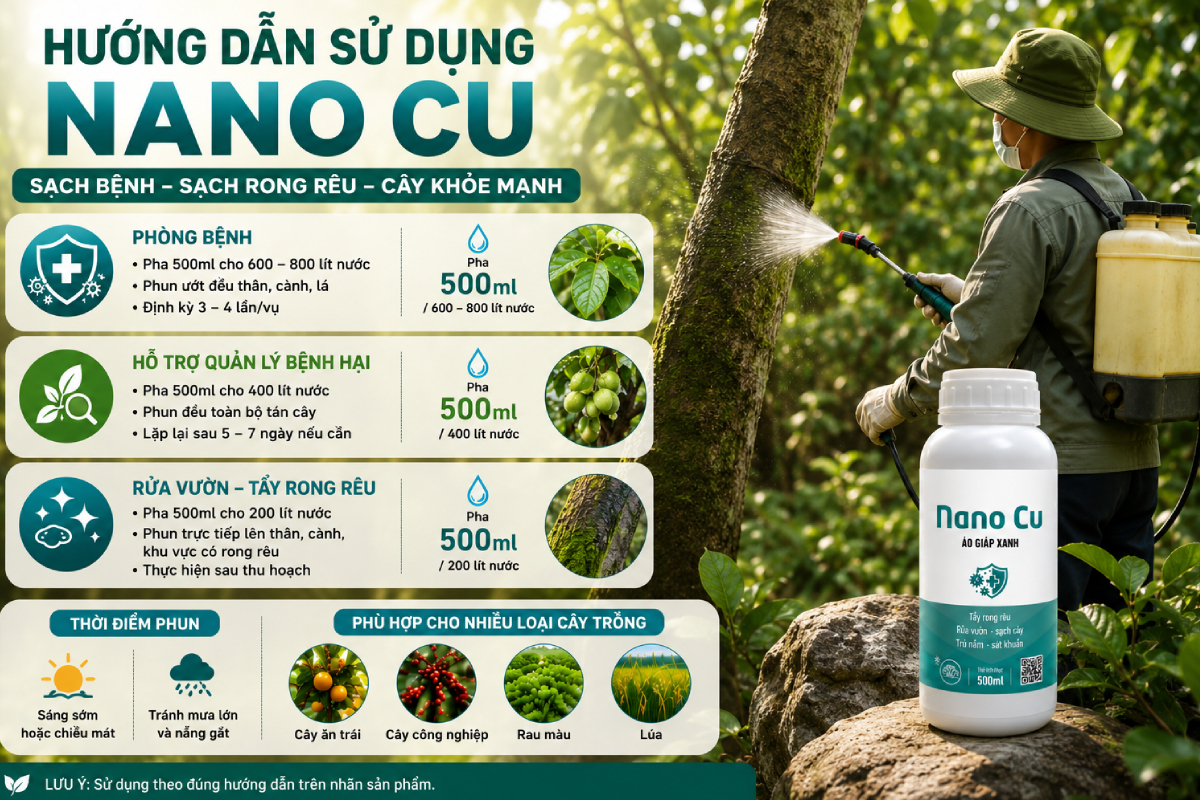 Nano Cu thuốc tẩy rong rêu trên cây trồng