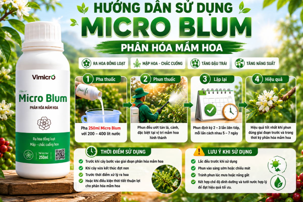 Hướng dẫn sử dụng chế phẩm sinh học Micro Blum