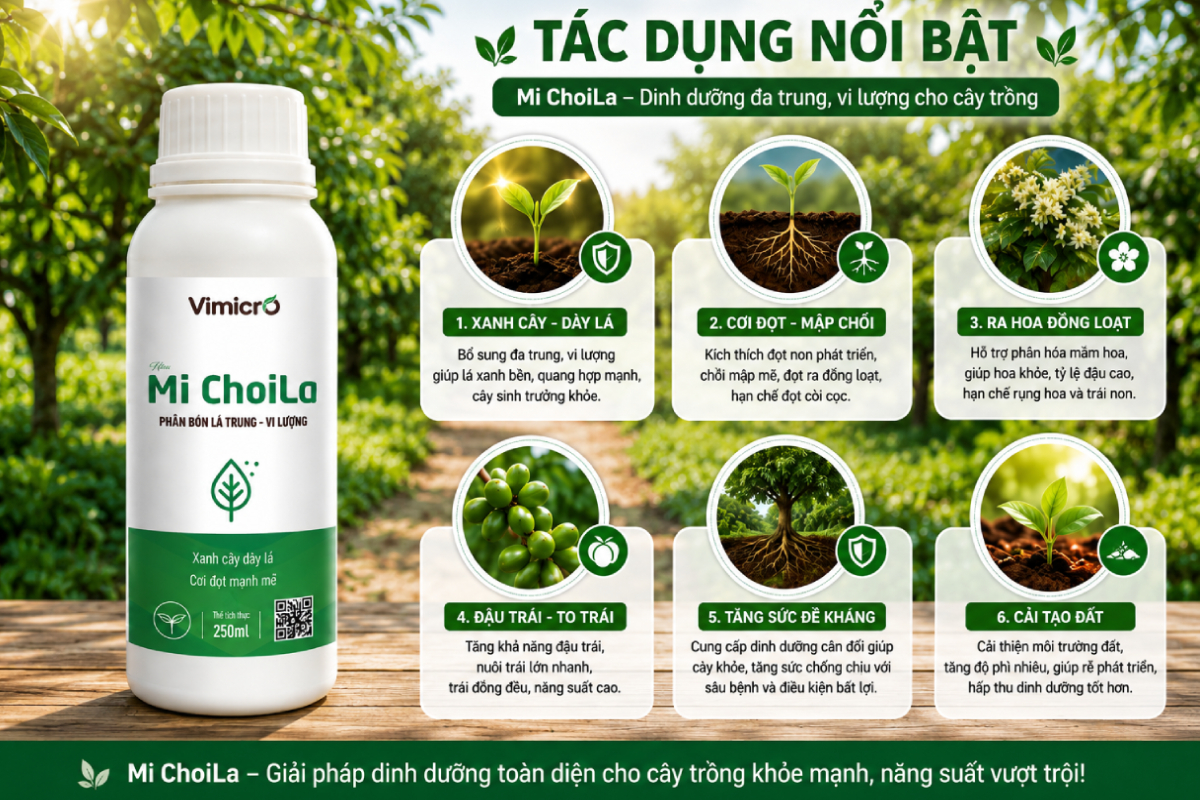Phân bón lá trung vi lượng giúp cây khỏe, tăng đề kháng, hạn chế vàng lá, thối rễ