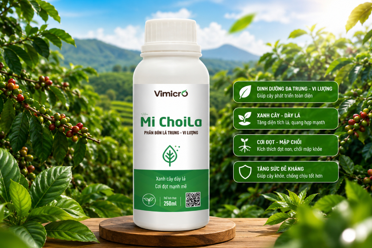 Mi ChoiLa là sản phẩm phân bón lá sinh học chuyên bổ sung các nguyên tố trung lượng và vi lượng cần thiết cho cây trồng