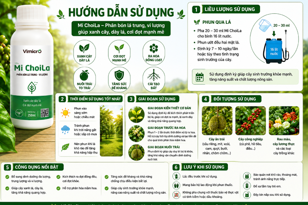 Việc sử dụng đúng loại phân bón trung vi lượng không chỉ giúp khắc phục nhanh tình trạng thiếu hụt mà còn hỗ trợ cây phục hồi và phát triển ổn định hơn.