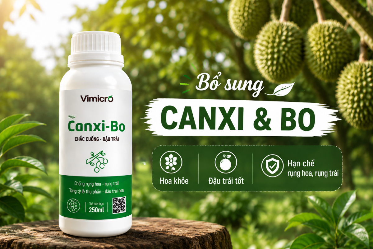 Chế phẩm sinh học Canxi Bo cho cây trồng được nhiều nhà vườn tin dùng