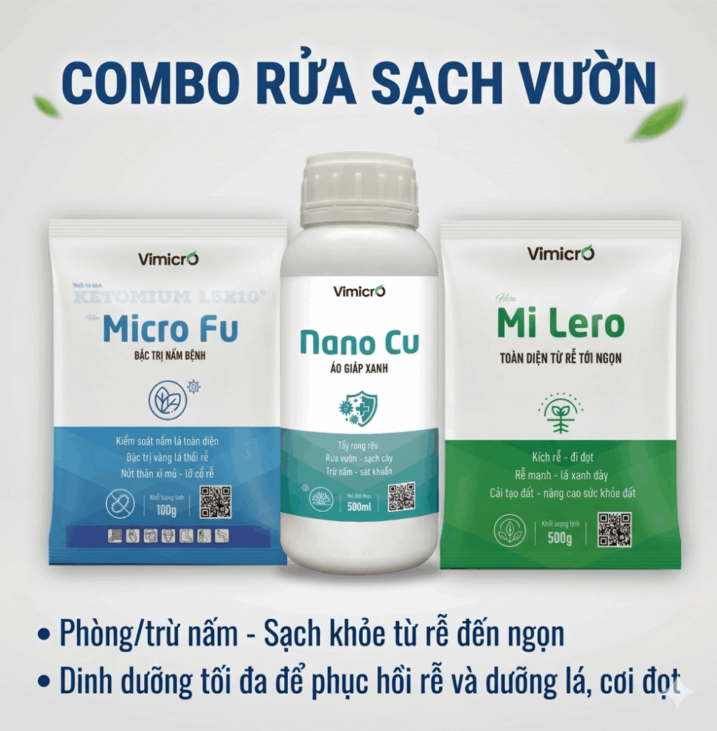 Combo Rửa sạch vườn
