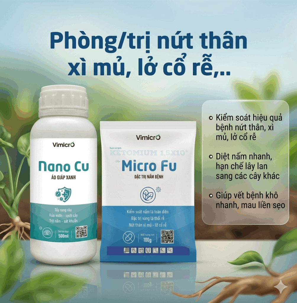 Phòng/trị nứt thân xì mủ, lỡ cổ rễ...