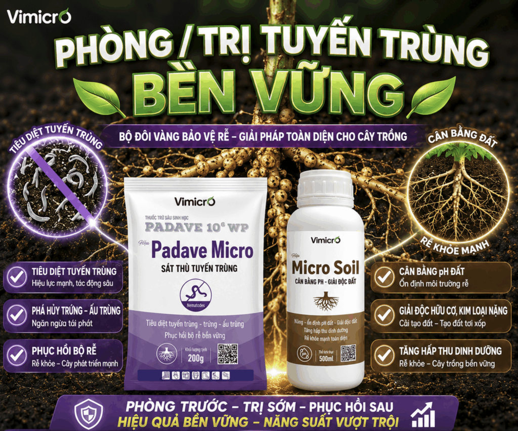 Phòng/trị tuyến trùng bền vững