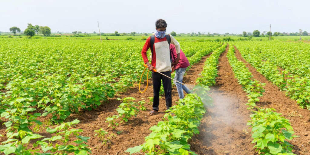 Thuốc trừ sâu sinh học có độc hại không?