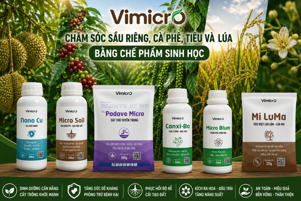Chăm sóc sầu riêng, cà phê, tiêu và lúa bằng chế phẩm sinh học