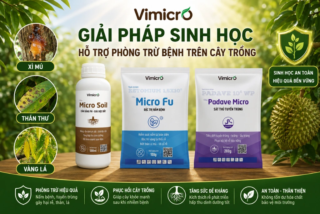 Giải pháp sinh học hỗ trợ phòng trừ bệnh trên cây trồng
